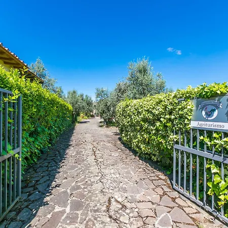 Poggio De'galli By Interhome *