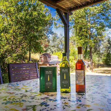 Poggio De'galli By Interhome
