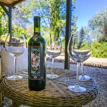 Poggio De'galli By Interhome Pozzolatico